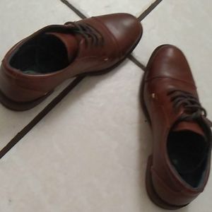 Dark brown colored oxford style shoe